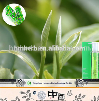High Quality Green Tea Extract Powder